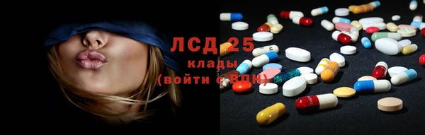 прущие грибы Балабаново