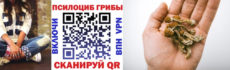 Галлюциногенные грибы Psilocybine cubensis  Купить  Опочка 
